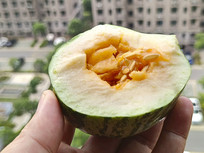 ����֭�˹�